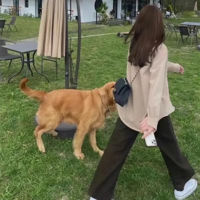 儍伯嬉春